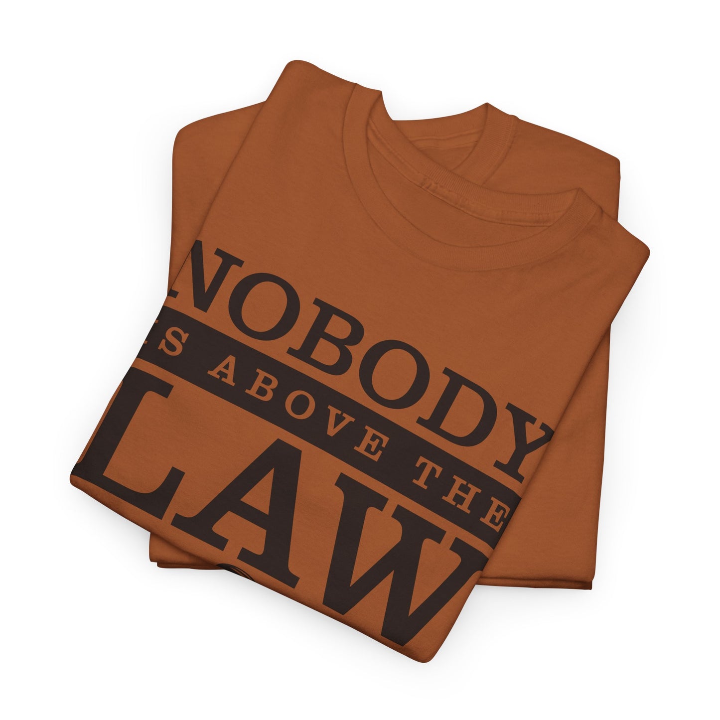 Nobody is Above the Law T-Shirt - Justice Graphic Tee
