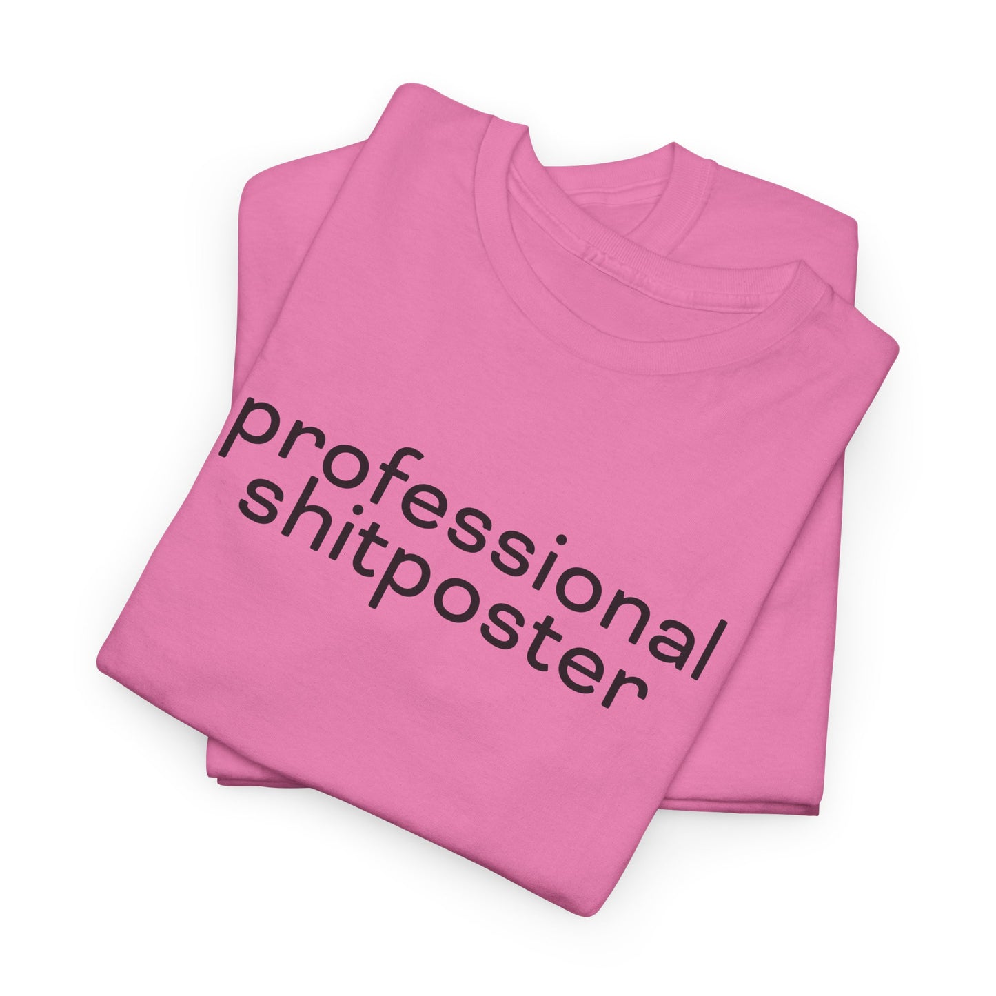 Professional Shitposter T-Shirt - Internet Humor Tee