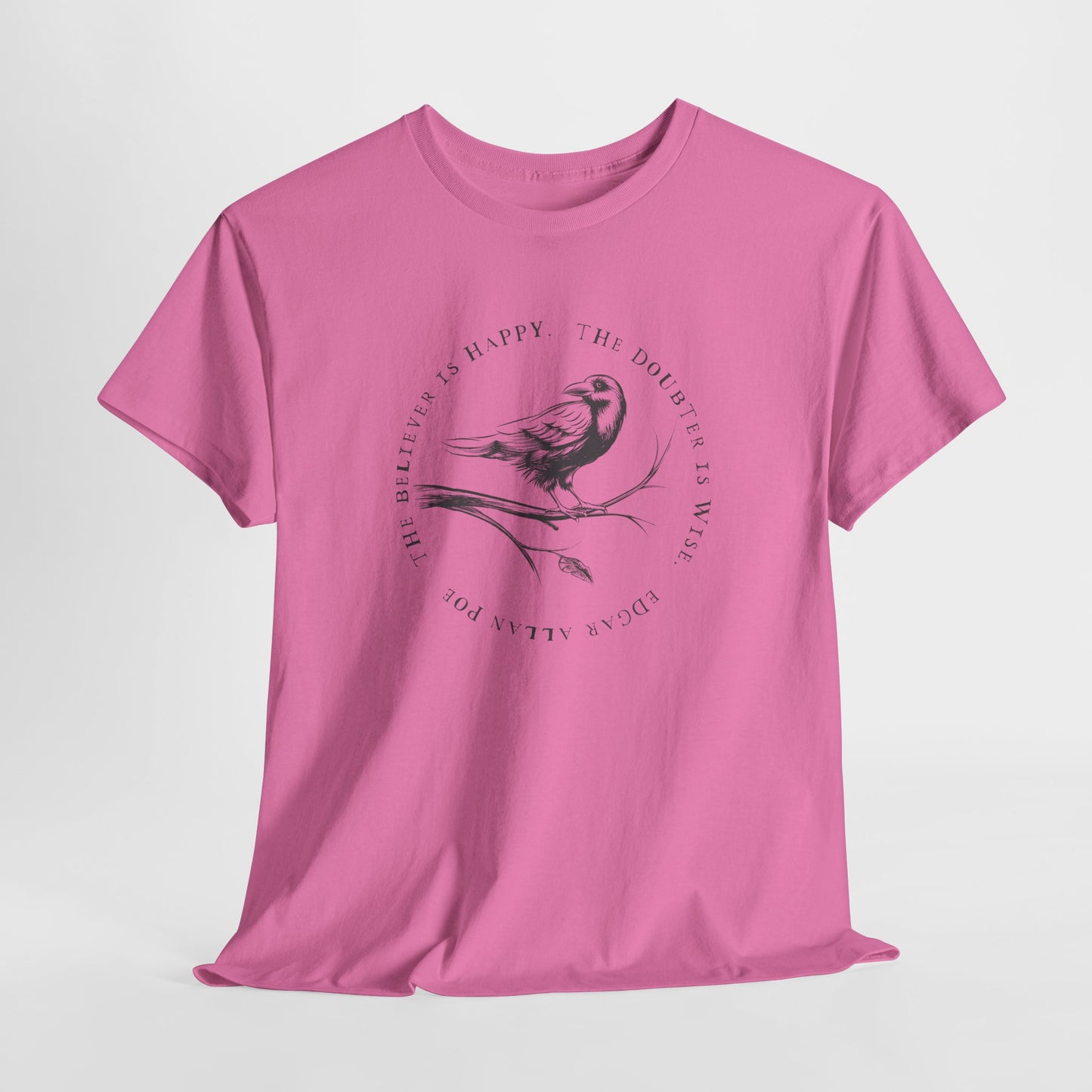 Poe Believer Doubter T-Shirt - Wise Quote Tee