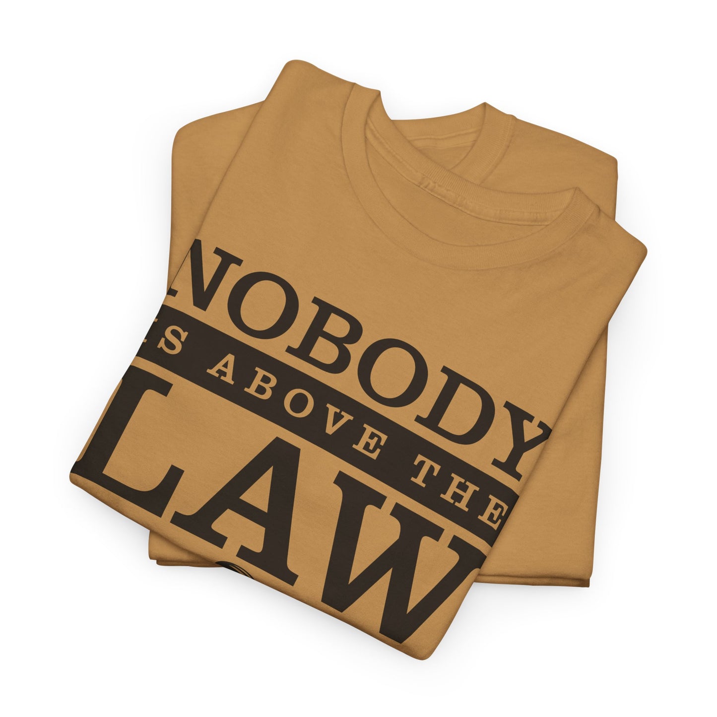 Nobody is Above the Law T-Shirt - Justice Graphic Tee