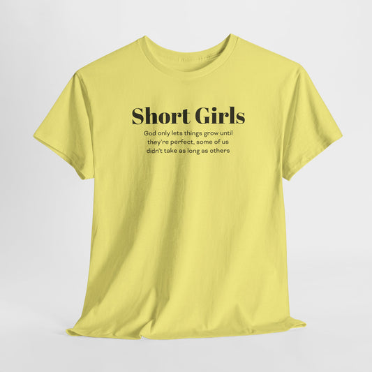 Short Girls Perfect T-Shirt - Sassy Petite Tee