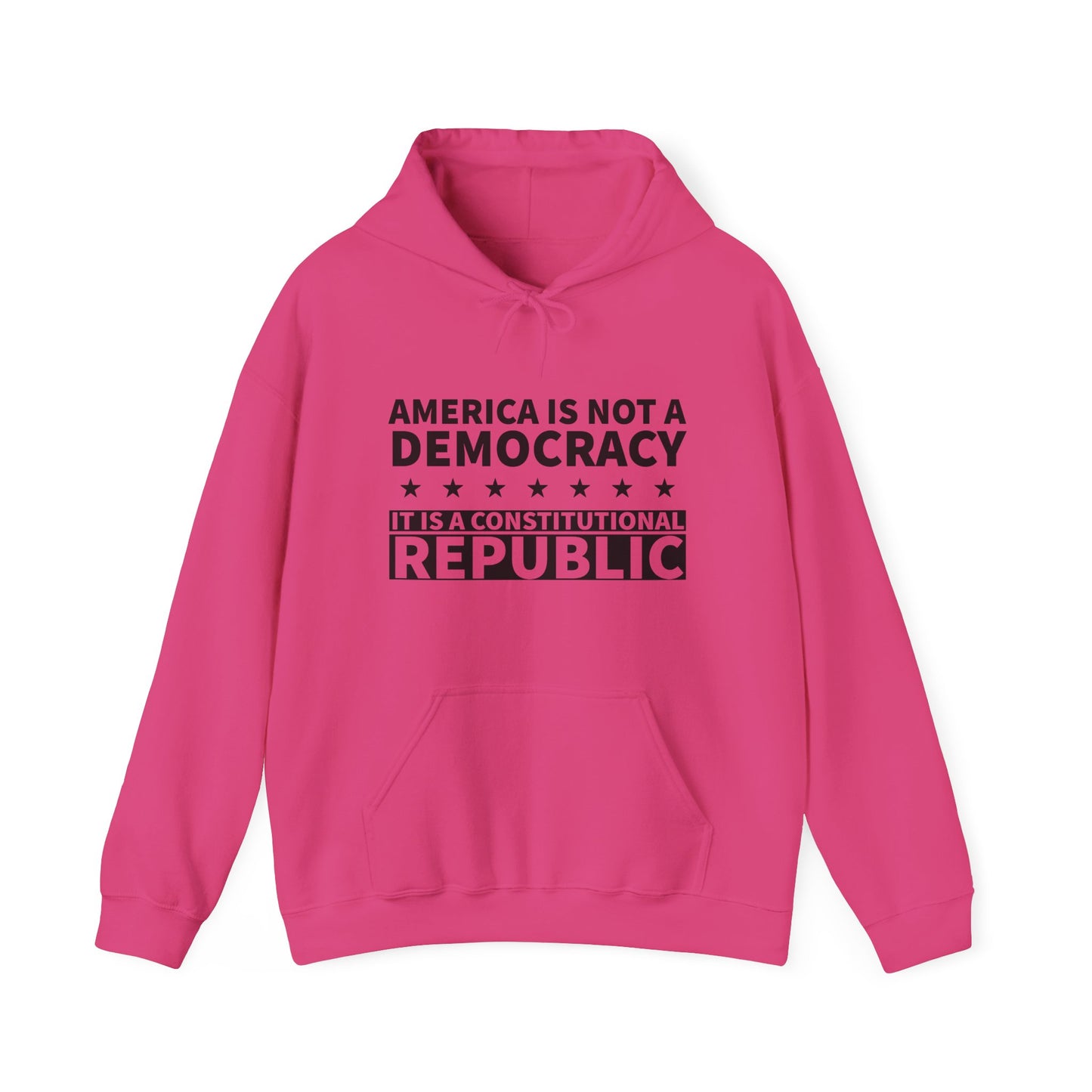 America Constitutional Republic Statement Hoodie