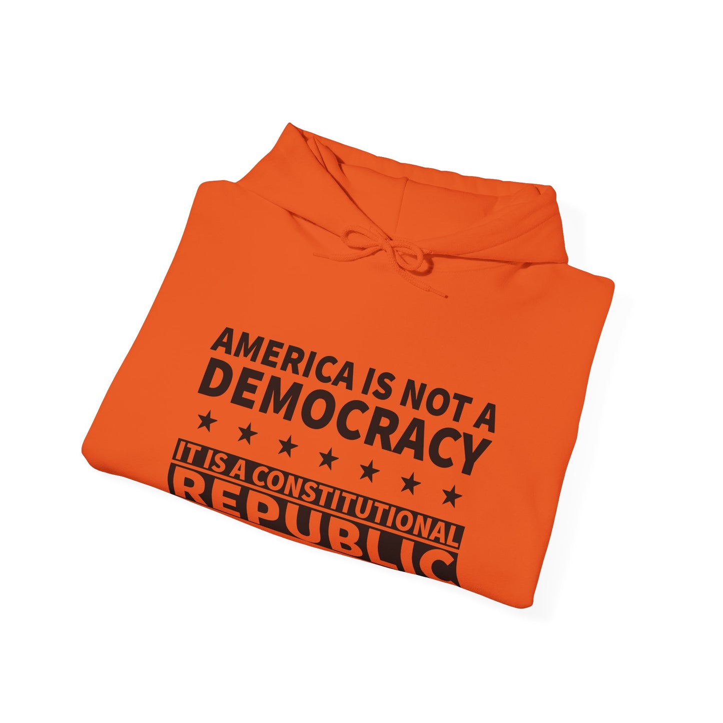 America Constitutional Republic Statement Hoodie