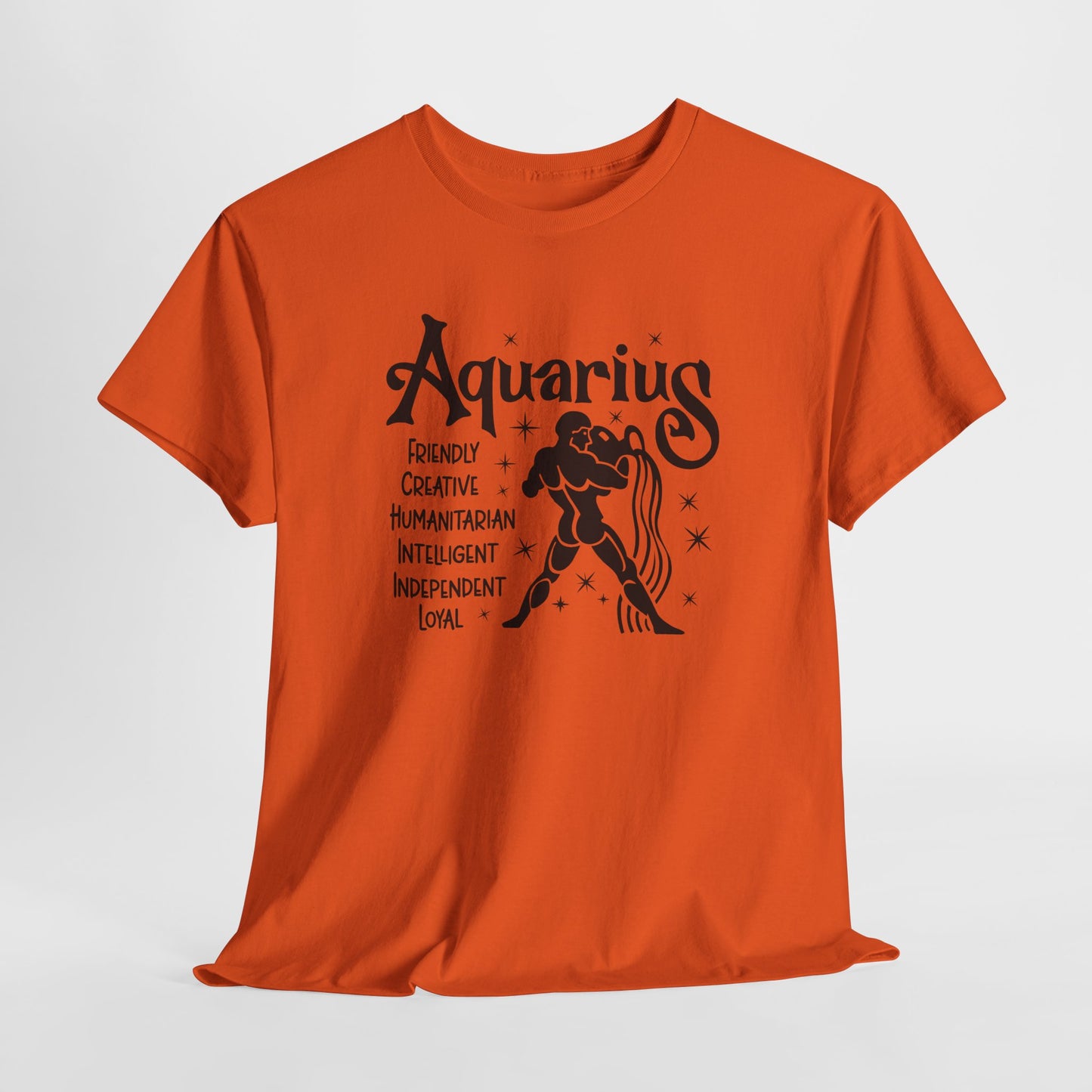 Aquarius T-Shirt For Astrological T Shirt For Zodiac Birthday TShirt