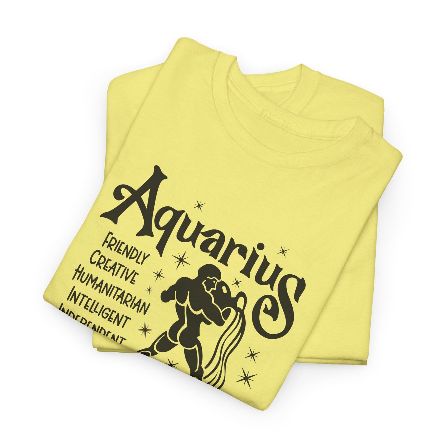 Aquarius T-Shirt For Astrological T Shirt For Zodiac Birthday TShirt