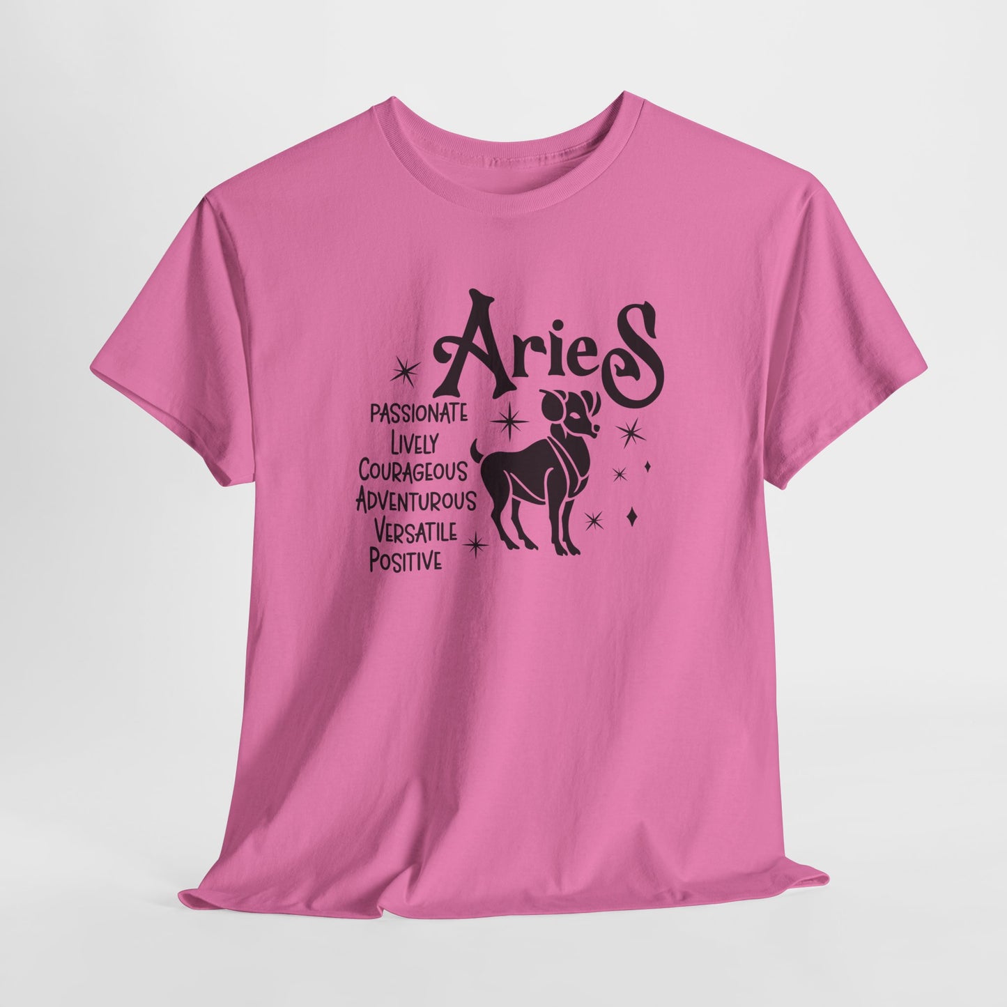 Aries T-Shirt For Astrological T Shirt For Zodiac Birthday TShirt