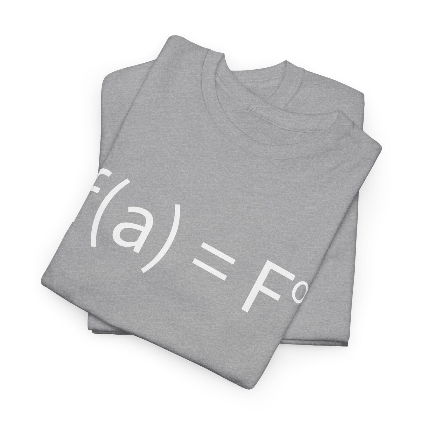 f(a) = fo FAFO Funny T-Shirt