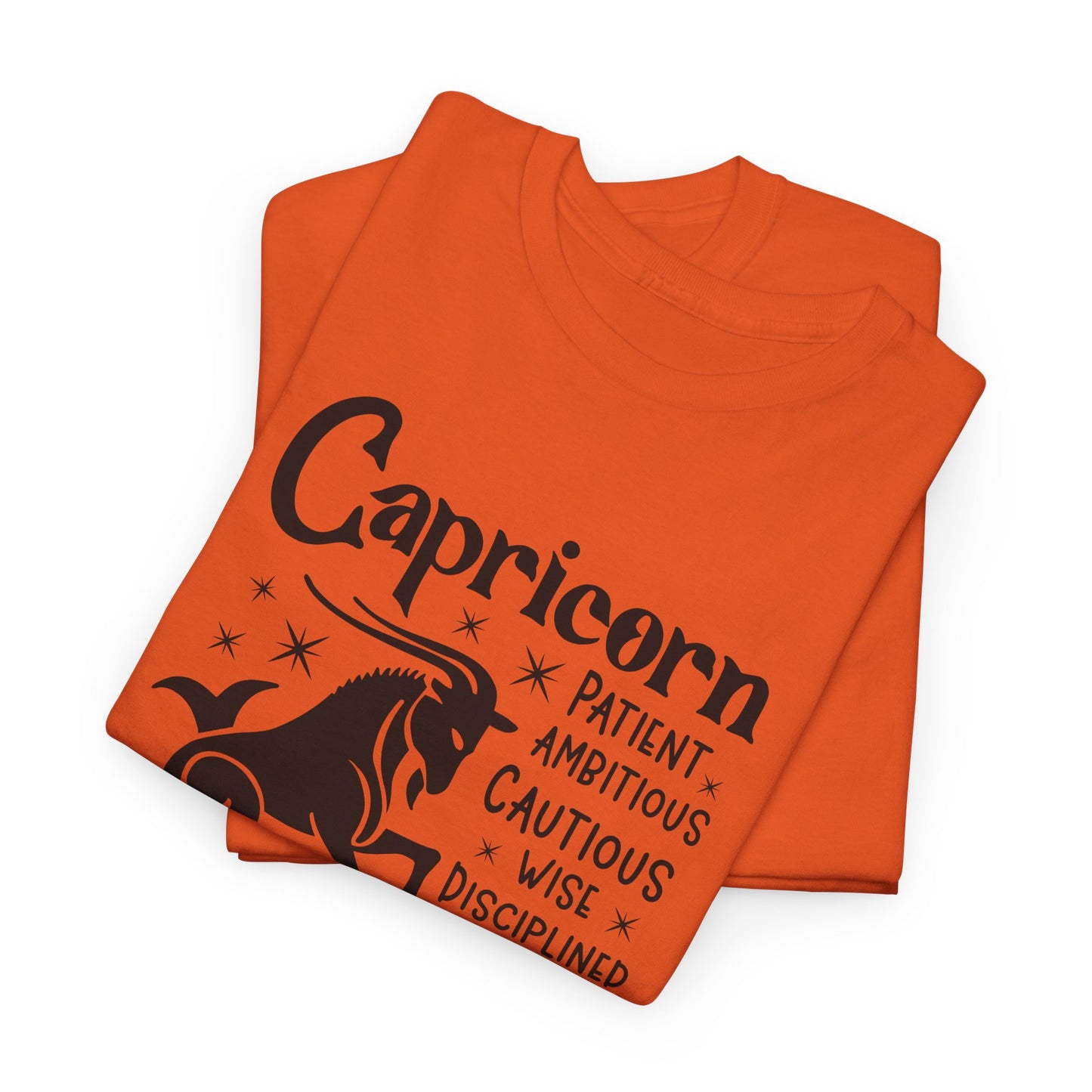 Capricorn T-Shirt For Astrological T Shirt For Zodiac Birthday TShirt