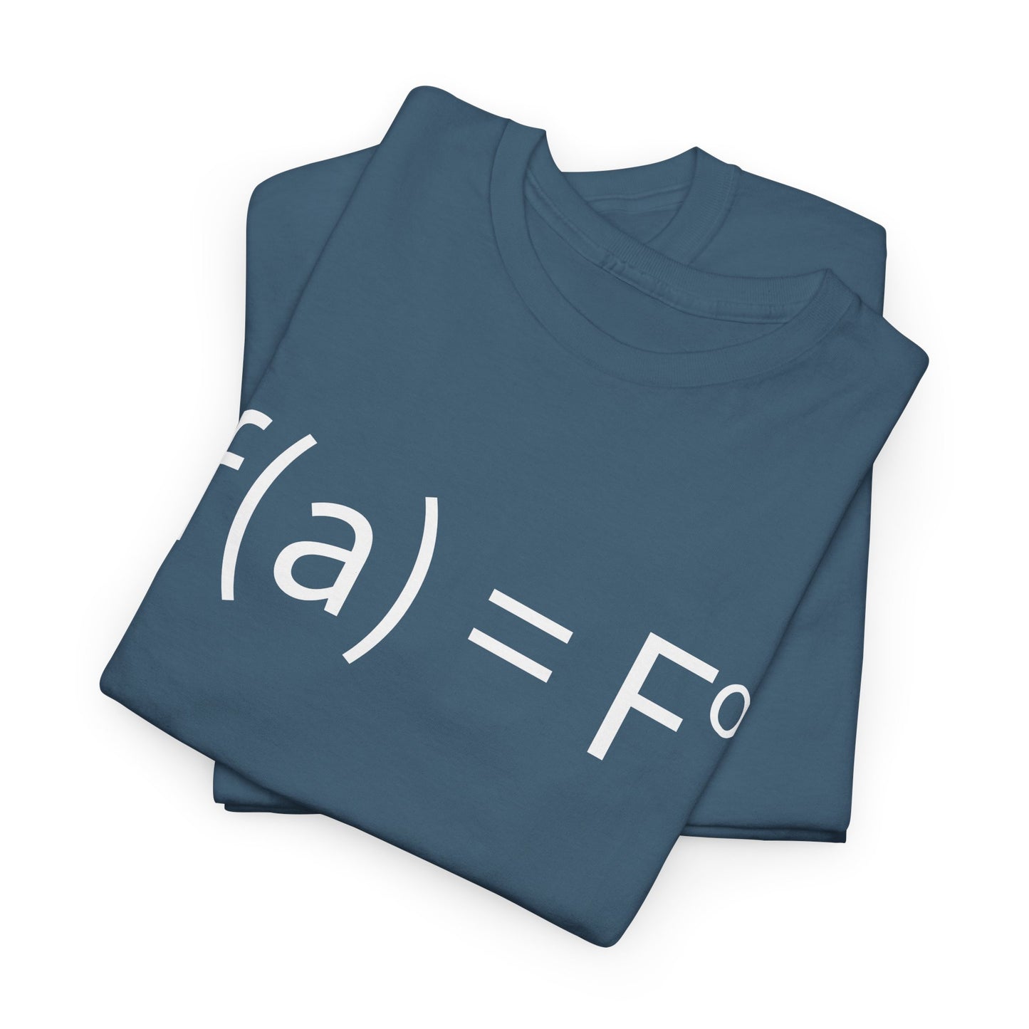 f(a) = fo FAFO Funny T-Shirt
