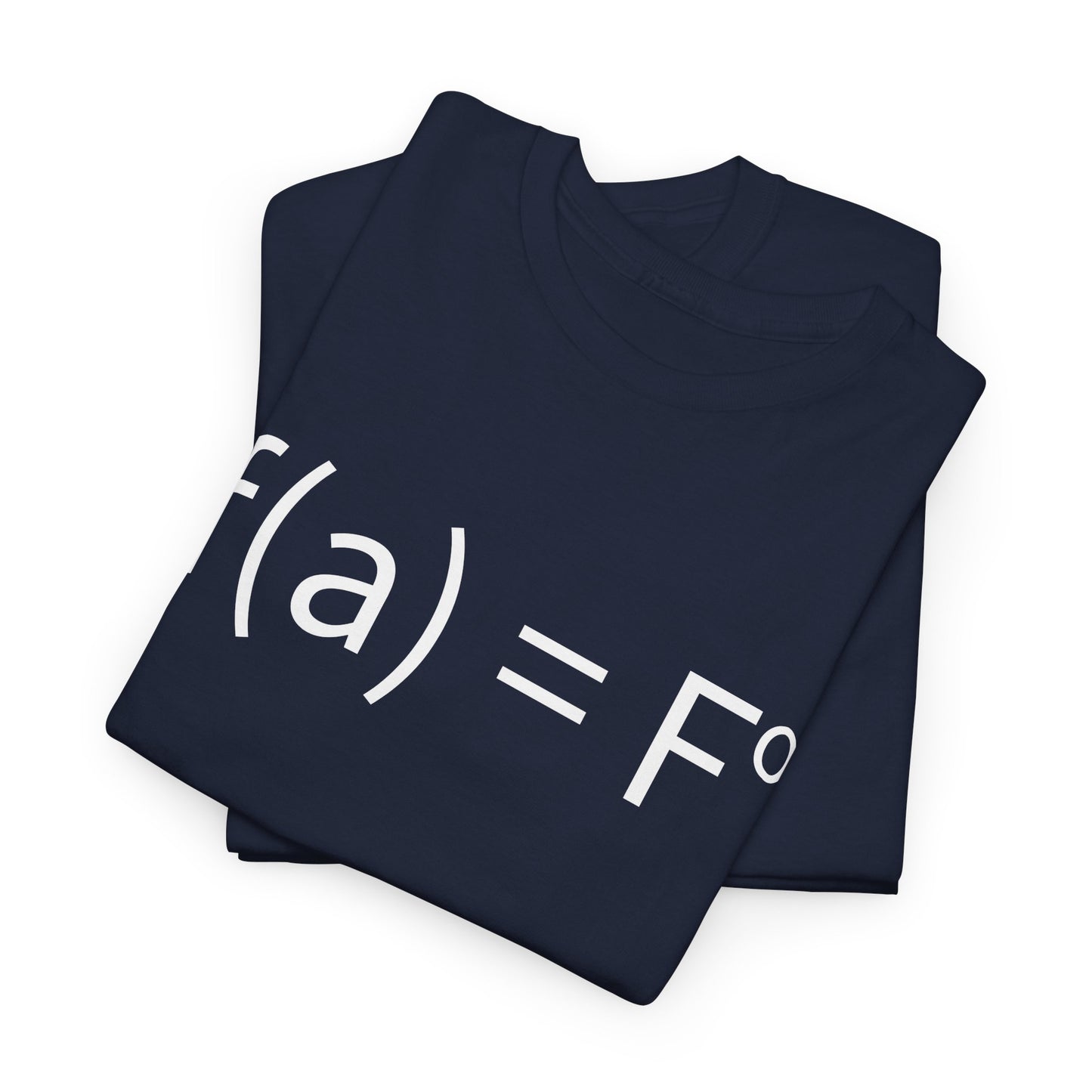 f(a) = fo FAFO Funny T-Shirt
