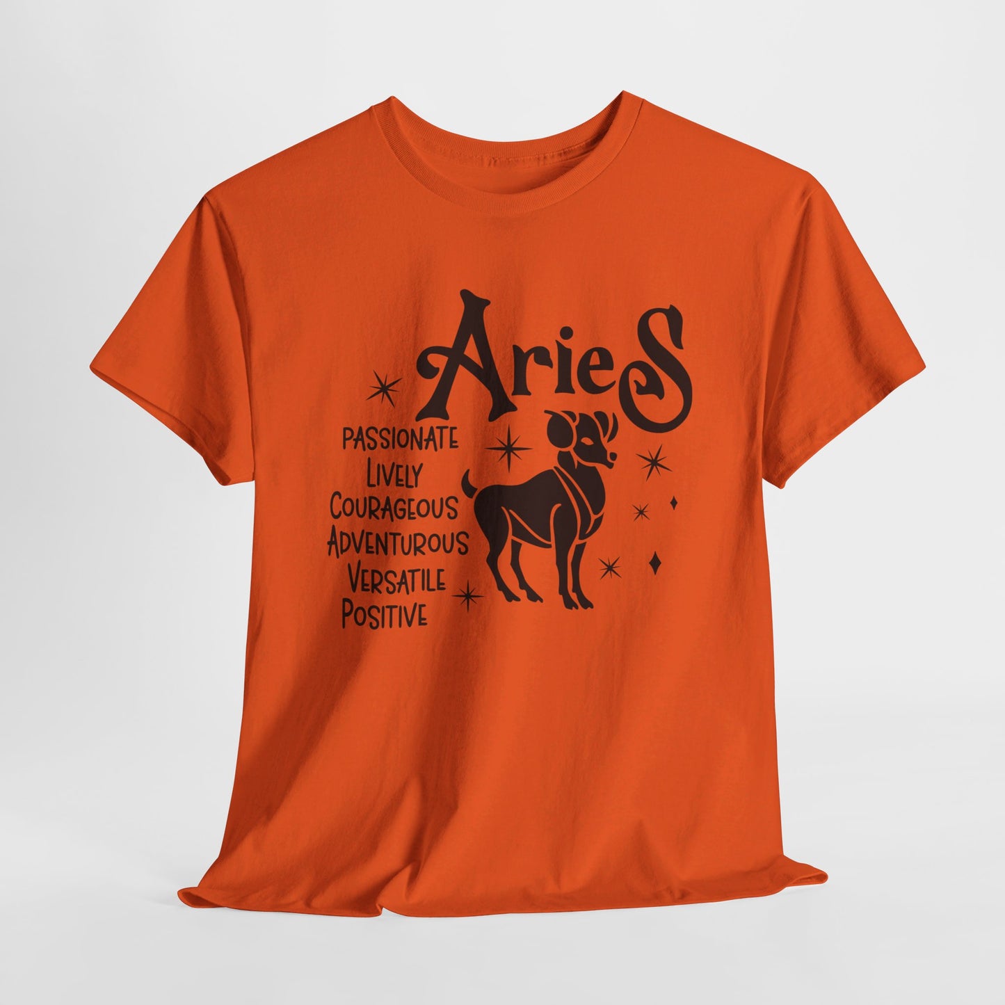 Aries T-Shirt For Astrological T Shirt For Zodiac Birthday TShirt