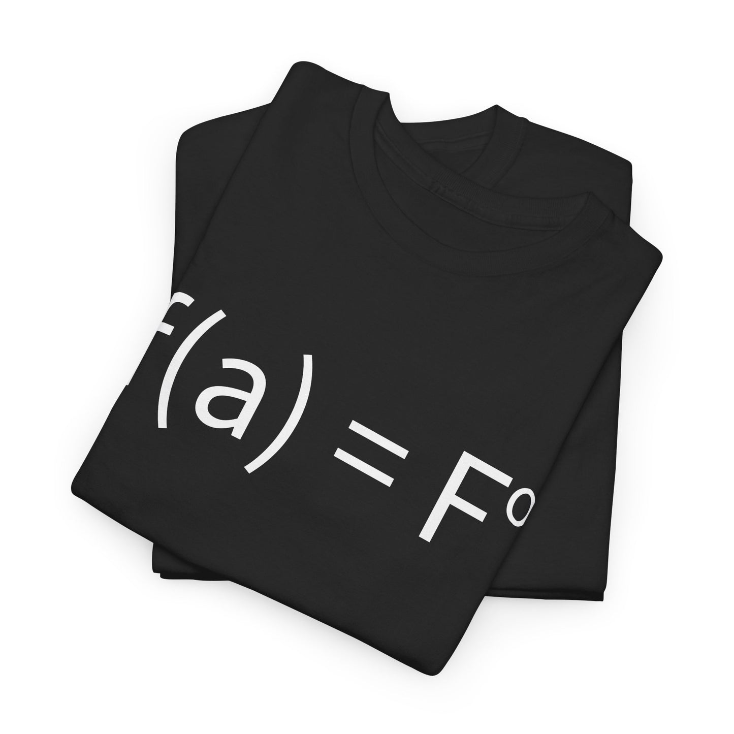 f(a) = fo FAFO Funny T-Shirt
