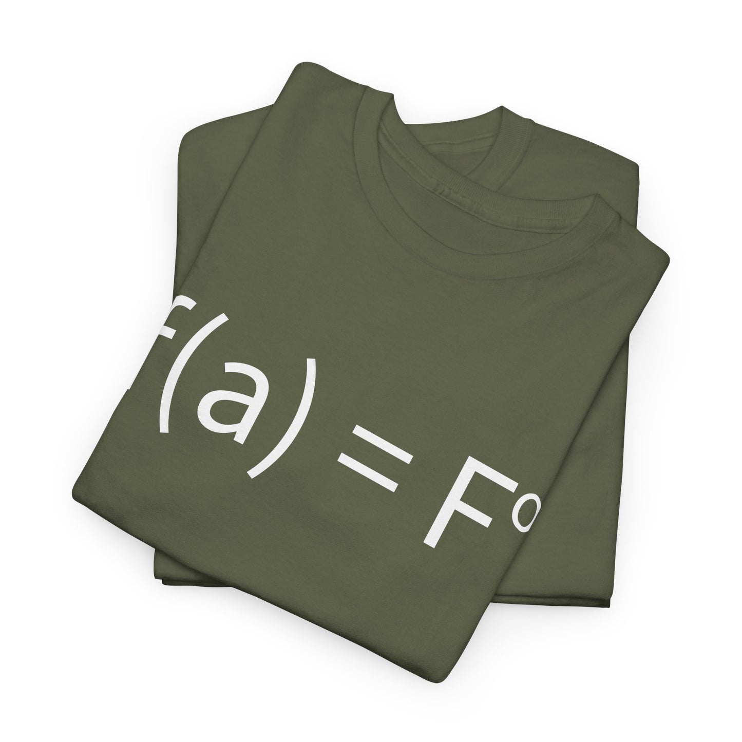 f(a) = fo FAFO Funny T-Shirt