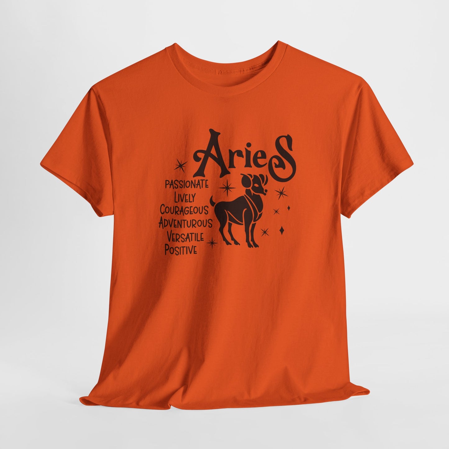 Aries T-Shirt For Astrological T Shirt For Zodiac Birthday TShirt