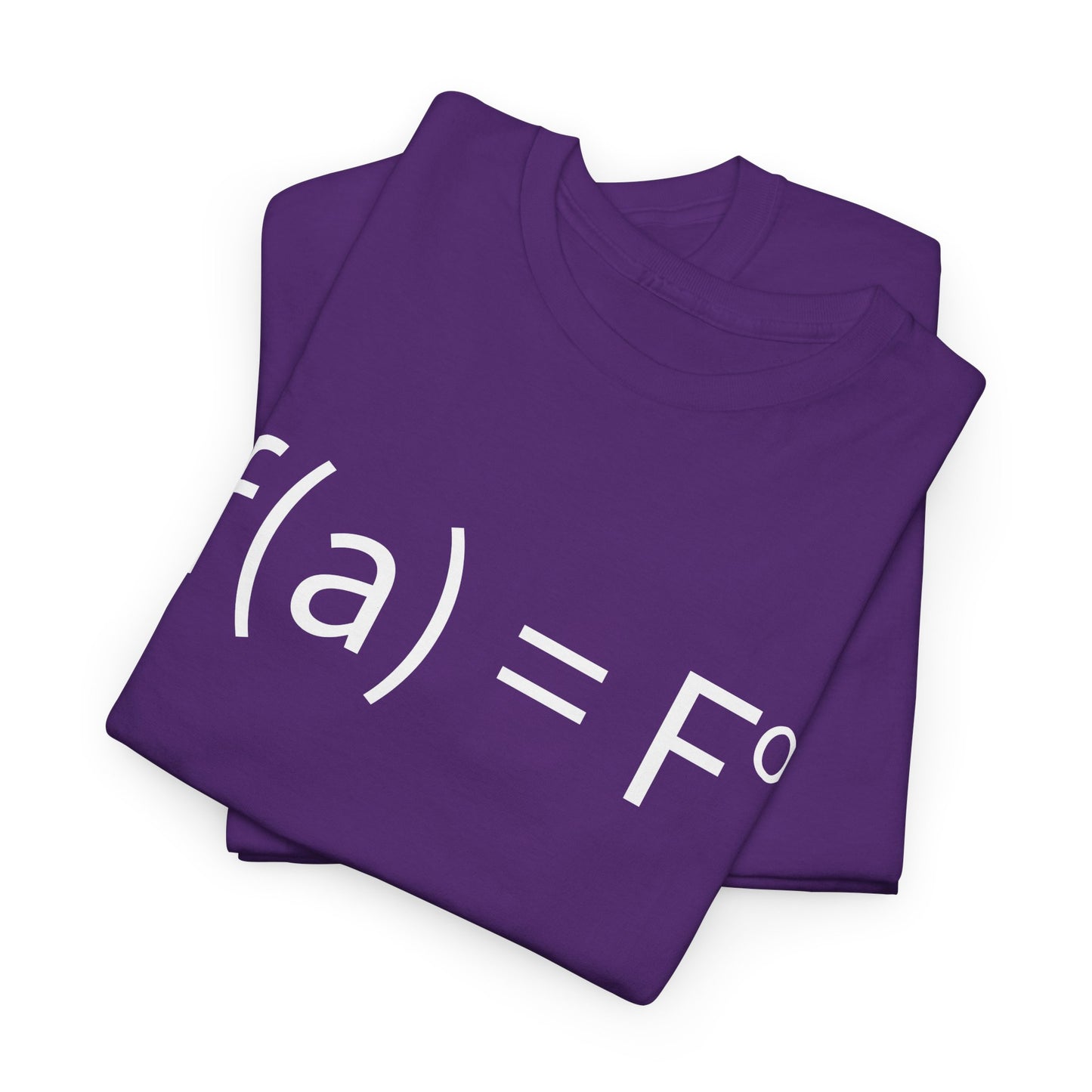 f(a) = fo FAFO Funny T-Shirt