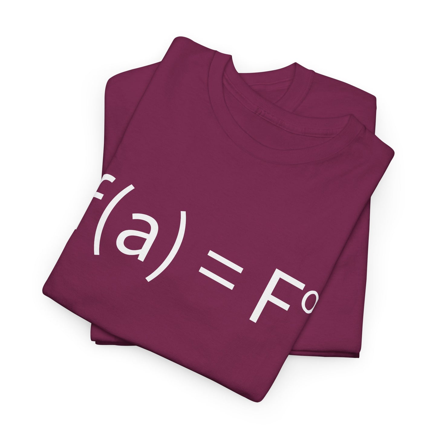 f(a) = fo FAFO Funny T-Shirt