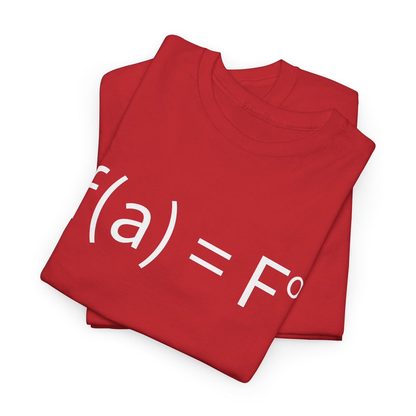f(a) = fo FAFO Funny T-Shirt