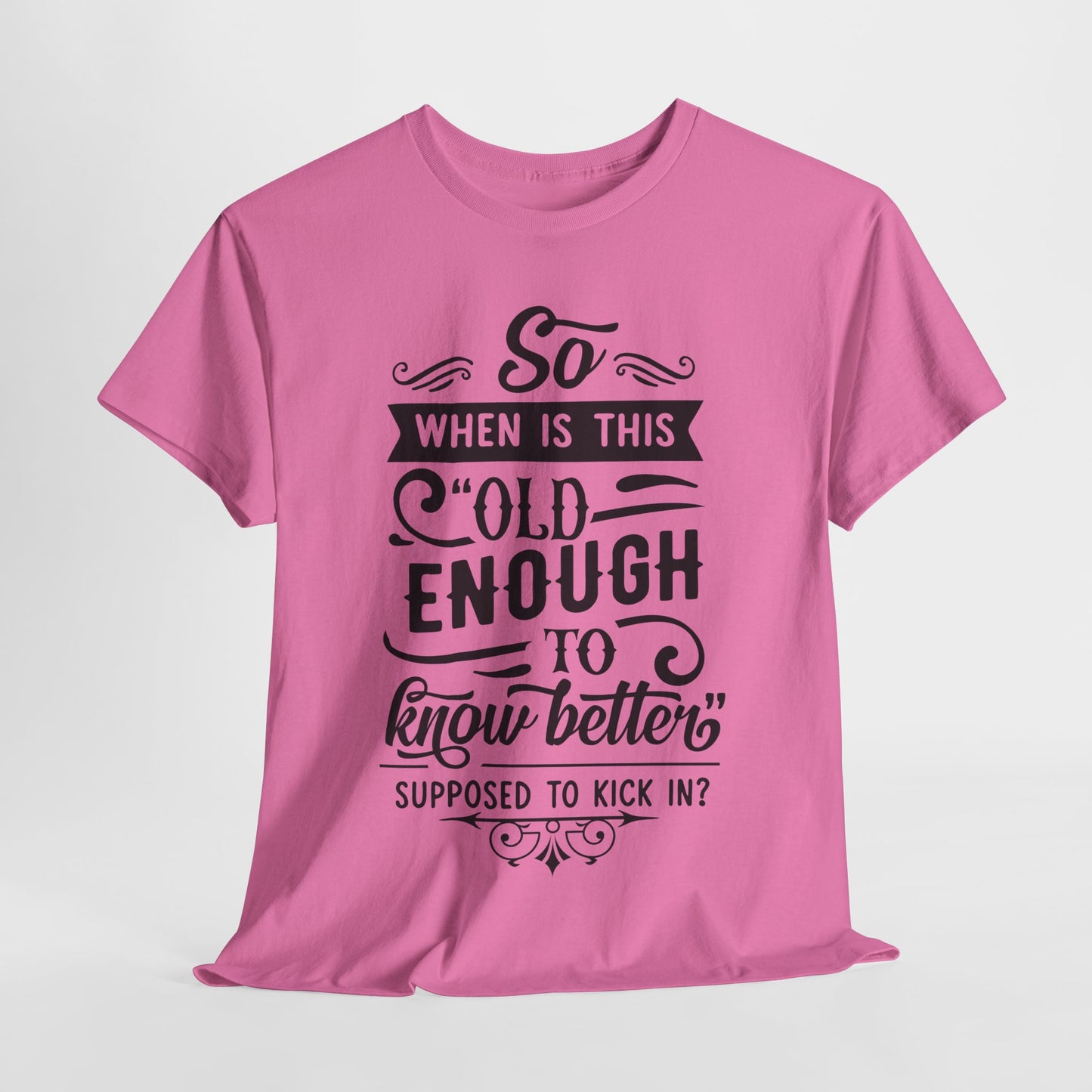 Old Enough T-Shirt For Know Better T Shirt For Getting Older TShirt