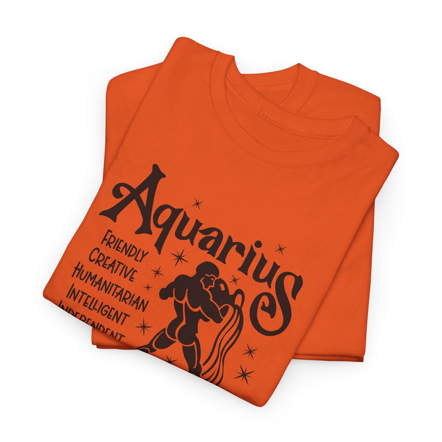 Aquarius T-Shirt For Astrological T Shirt For Zodiac Birthday TShirt