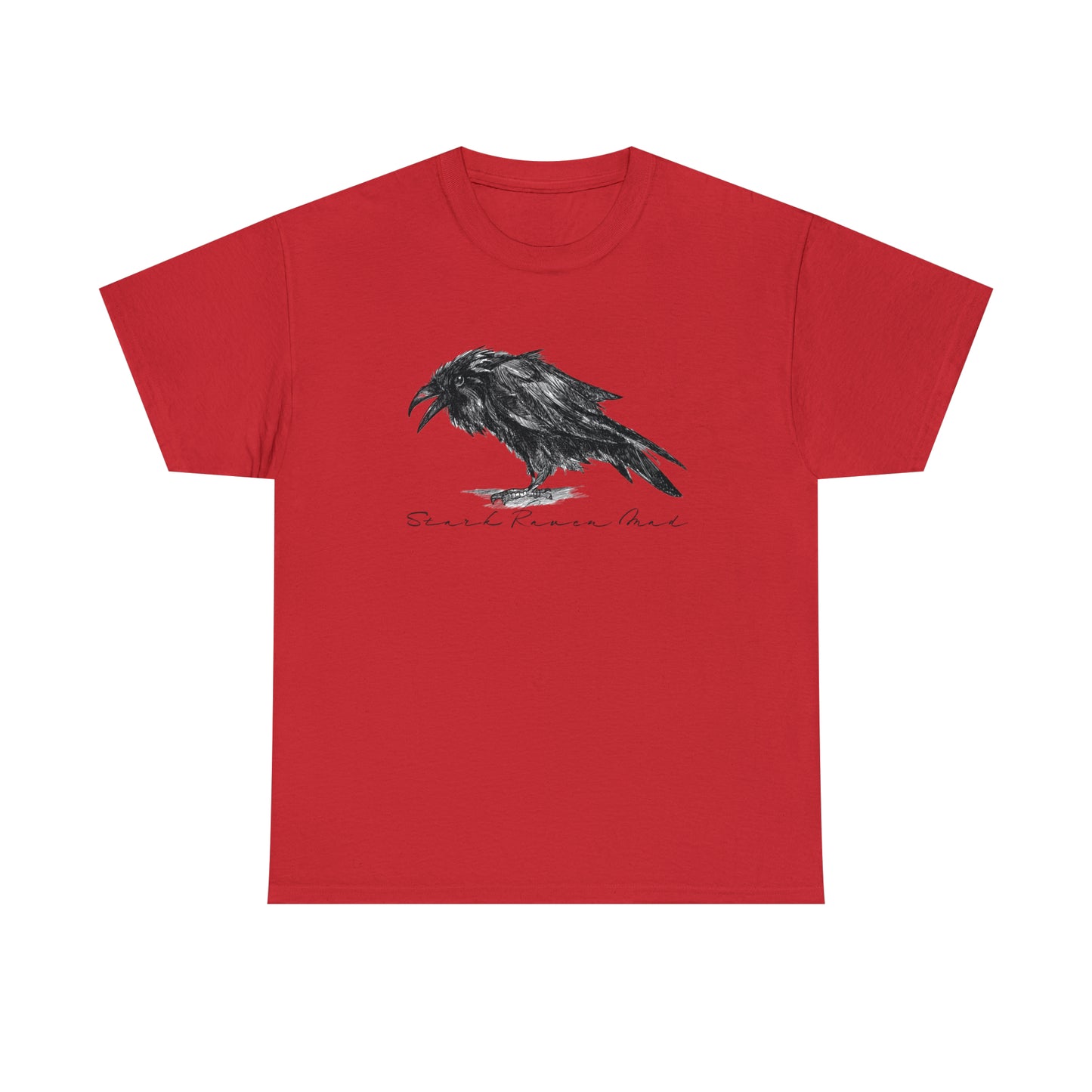 Raven T-Shirt For Edgar Allan Poe TShirt For Literary T Shirt For Scandinavian Shirt For Odin TShirt For Norse God Tee