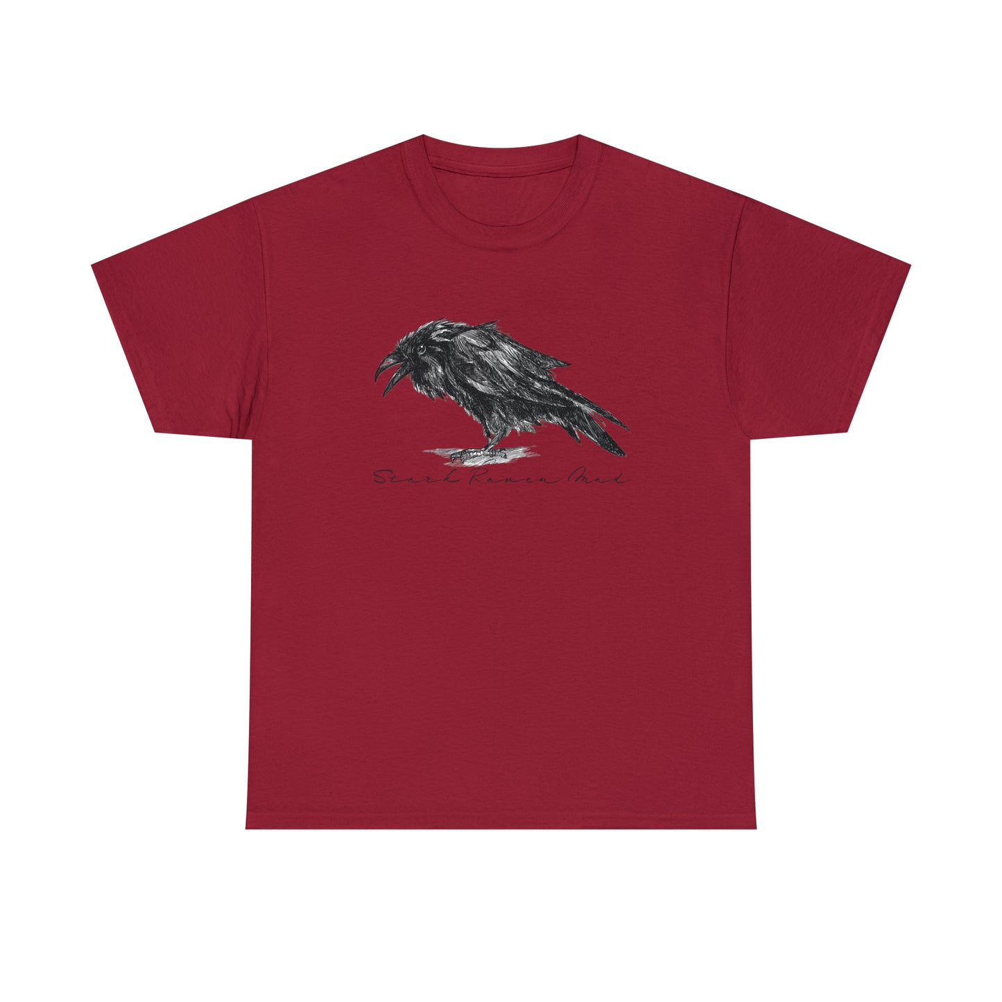 Raven T-Shirt For Edgar Allan Poe TShirt For Literary T Shirt For Scandinavian Shirt For Odin TShirt For Norse God Tee