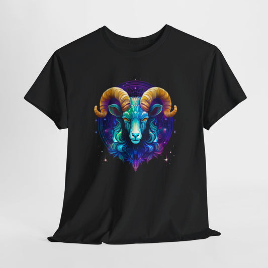 Zodiac T-Shirt For Aries T Shirt For Astrological Birthday TShirt