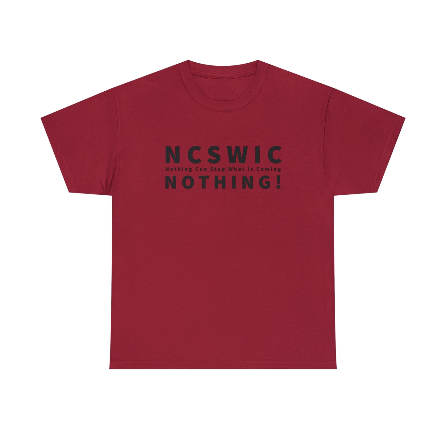 NCSWIC T-Shirt For Conspiracy T Shirt For Conservative Patriot Shirt Social Justice Awareness TShirt Nothing Can Stop What Is Coming TShirt